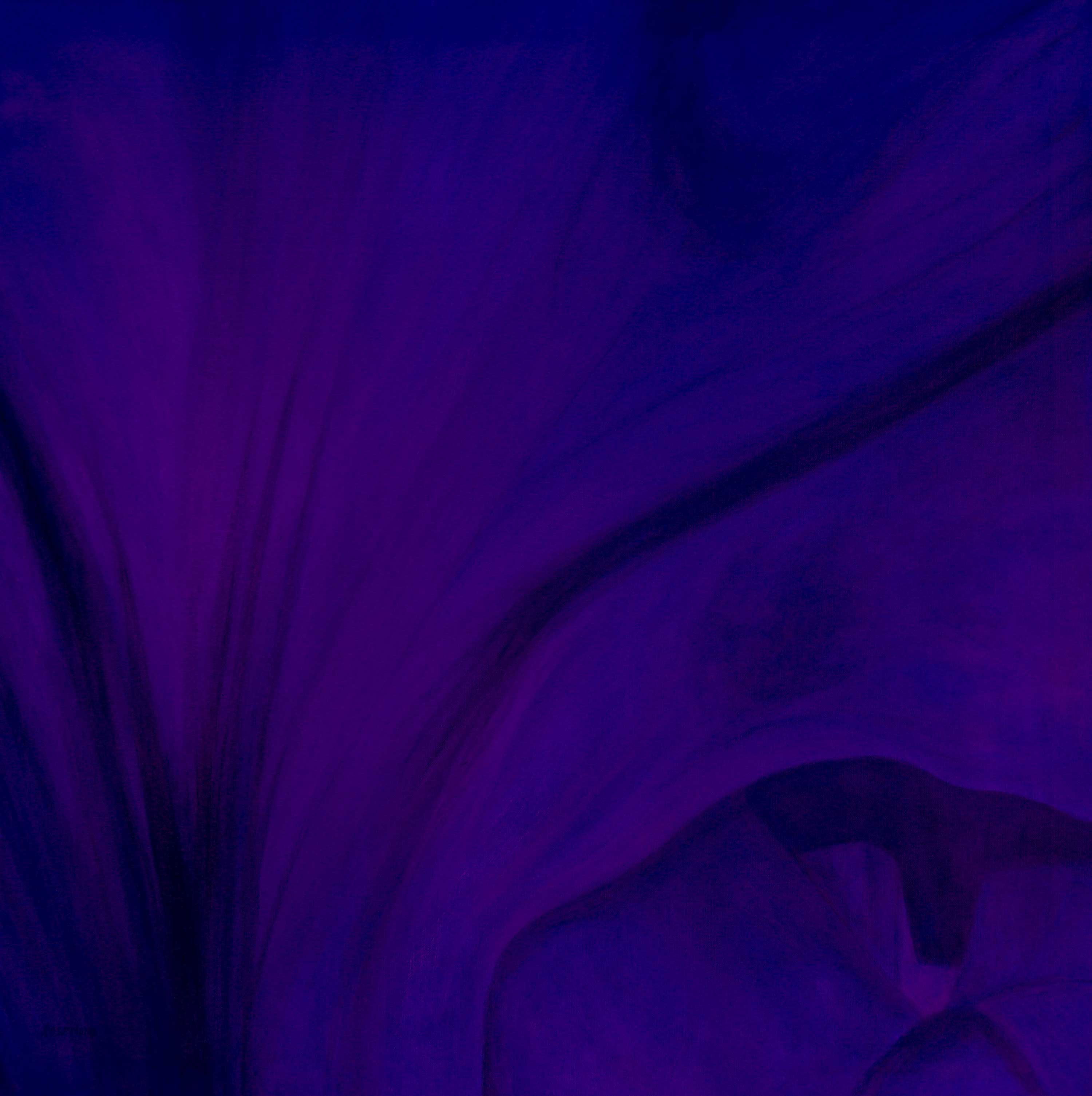  Iris V Purple, 36 x 36 Original Oil 